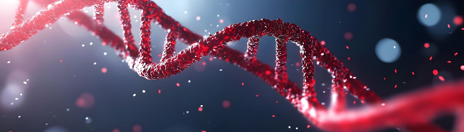 DNA-Helix Struktur